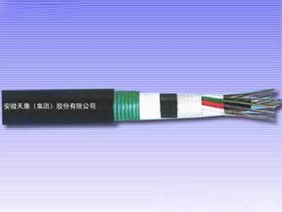 天康集團(tuán) 鋰電配件 2-144芯松套層絞式水下光纜