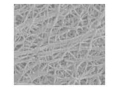 義騰新能源 常規(guī)微孔單層隔膜