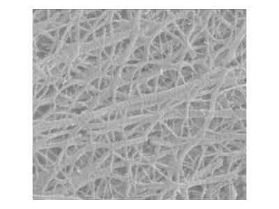 義騰新能源 常規(guī)微孔單層隔膜