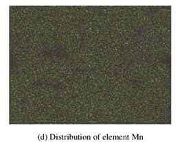 LiF改性后NCM811正極材料的SEM照片及 Ni、Co、Mn和F元素的面分布圖