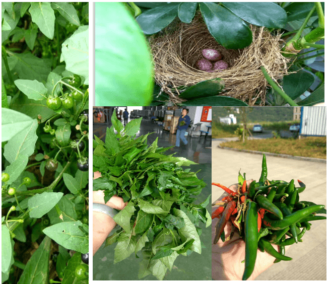 鋰電池攪拌設(shè)備企業(yè)引入傳統(tǒng)文化管理淺探