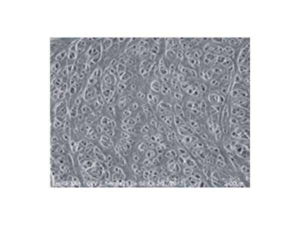 捷力新能源 消費(fèi)電子用鋰離子電池隔膜 J-GP-CU20/16/12M