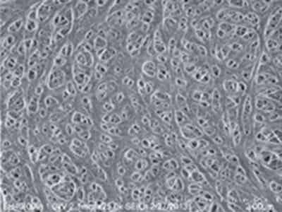 捷力新能源 消費(fèi)電子用鋰離子電池隔膜 J-GP-CU20/16/12M