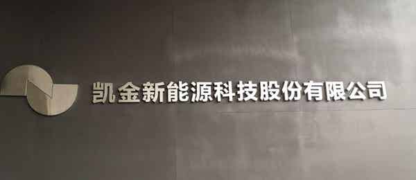 廣東凱金新能源科技股份有限公司