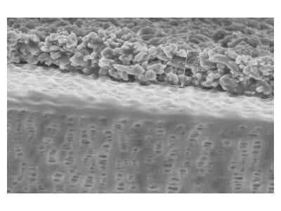 惠強新材 C系列涂覆膜(氧化鋁)