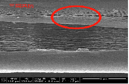 PP/PP/PP三層共擠隔膜