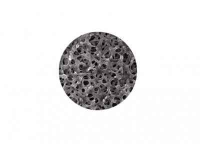 滄州明珠涂布改性隔膜