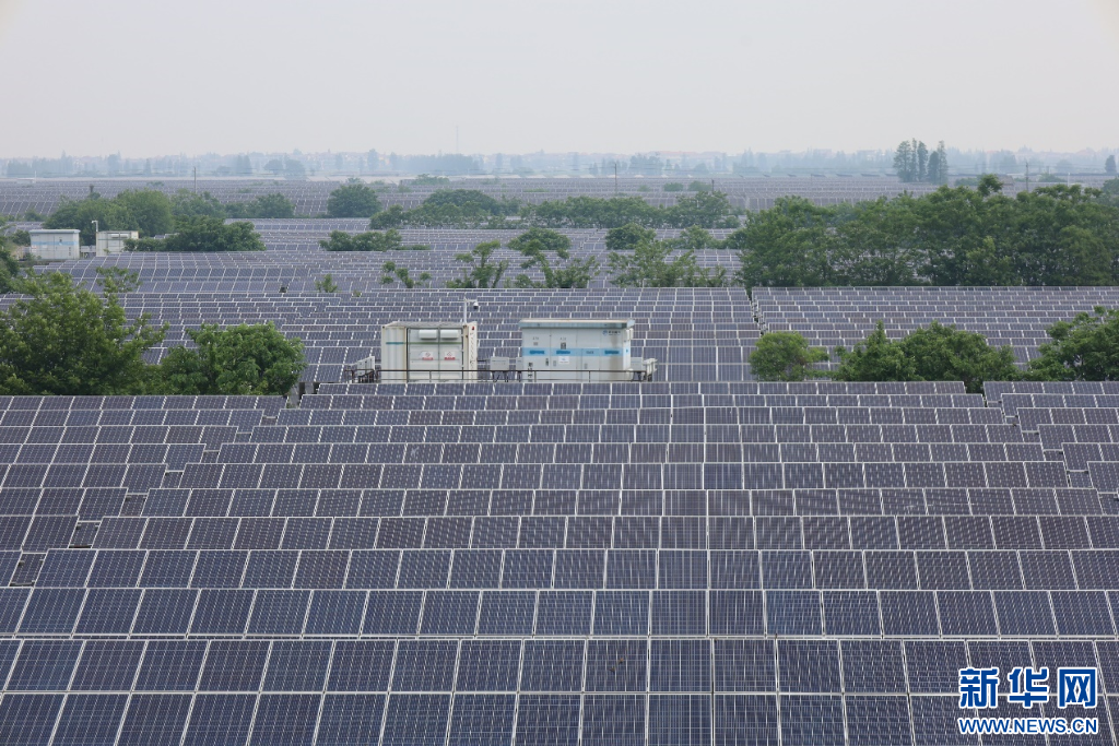 江西省南昌縣蔣巷鎮三洞湖光伏發電項目。新華網 王曉震 攝
