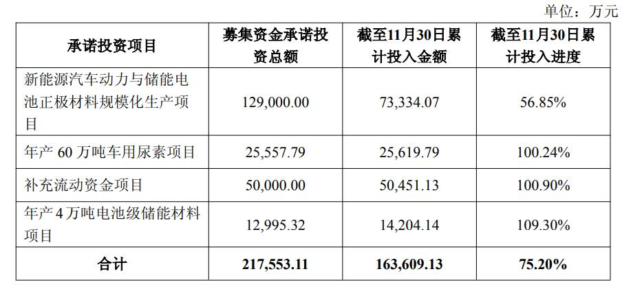 （龍?bào)纯萍寄假Y使用情況及投入進(jìn)度
